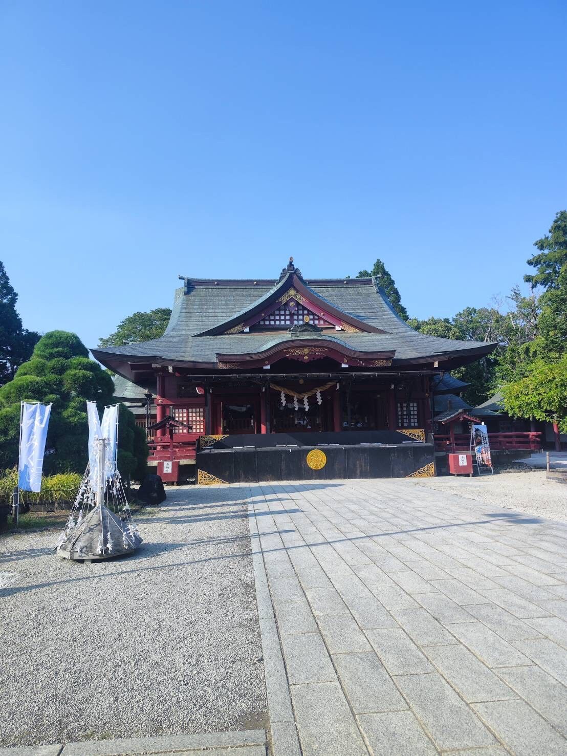 ９月に入りました